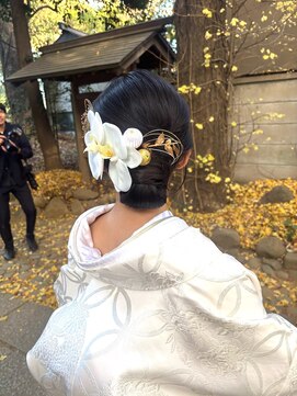 パズードコー(PSSD-CO.+5) 華やかヘアードシニヨン