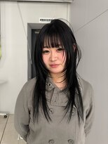 ノラ シンディ(NORA CYNDY) ハッシュカットレイヤーカットシャギーレイヤーブルーブラック
