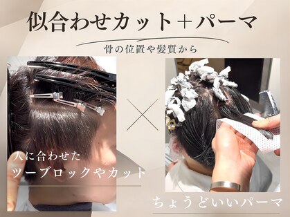 エース(ACES)の写真