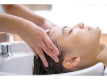 整頭術シャンプー（2シャンプー）