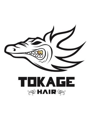 トカゲ ヘアー(TOKAGE HAIR)