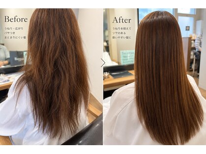 パインズループ(PINES LOOP)の写真