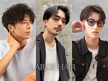 Beauty Space Large hair  