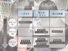 もう迷わない。髪のお悩みや理想の質感に合わせて選べる、Vale独自の髪質改善プログラム