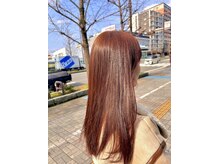ニコロ(Niccolo)
