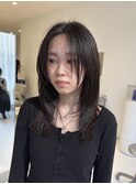 レイヤーカットブラウンシャギーレイヤーウルフレイヤー