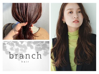 ブランチヘアー(branch hair)の写真