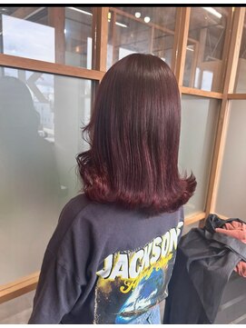 カノア(KANOA) ピンクラベンダー