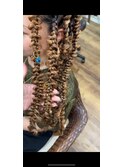 butterfly braids