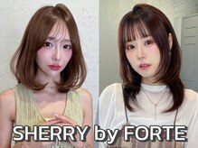 シェリー バイ フォルテ(SHERRY by FORTE)