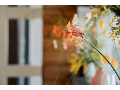 ビスクヘアデザイン(bisq hair design)の写真