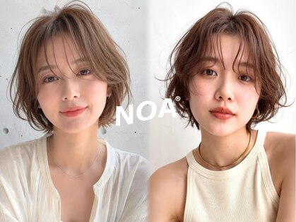 ノア(NOA)の写真