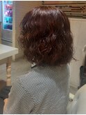 プードルパーマ2025S/S【Aman hair 吉祥寺s店】
