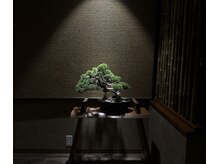 浮世床の雰囲気（店内には四季の盆栽を展示しますので季節感も楽しんで頂けます）