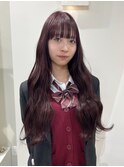 【sakura】cherryred