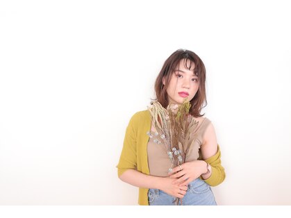 グリームス(gleams)の写真