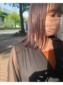 ラベンダーボブ