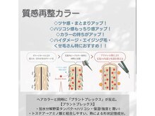 特許成分トステア【毛髪強化成分】と植物由来成分【毛髪補修成分】を組み合わせたオリジナル成分配合