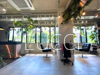 LUCCI【ルッチ】