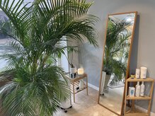 店内は天然100%(ドテラ）のアロマの香りが流れております。