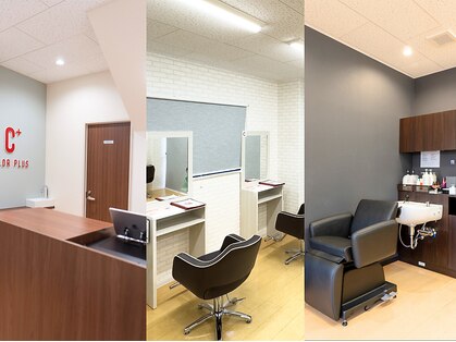 カラープラス 本陣店の写真