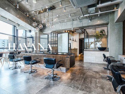 ハバナ 渋谷(HAVANA)の写真