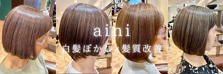 アイニ 河内小阪店(aini)のサロンヘッダー