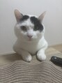 イキプラスディードットログ 大和八木駅前店(ikii+D.Log)&nbsp;うちの愛猫ちーちゃん♂です