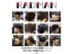 ラッドマン(RADMAN)の写真