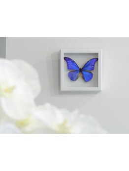 世界一美しいと言われるモルフォ蝶が店名の由来。あなたの美しさも最大限に引き出します♪