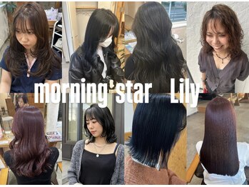 morning star lily【モーニングスター　リリィ】