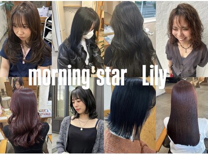 モーニングスター リリィ(morning star lily)の写真