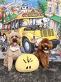 ロコエル(Locoel) 愛犬のトイプードルの女の子です。最高の癒しです。。