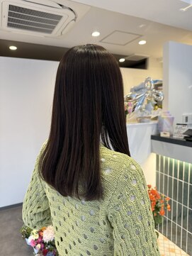 アッセンブル(ASSEMBLE) 艶マロンブラウンカラー