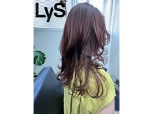 リス(LyS)