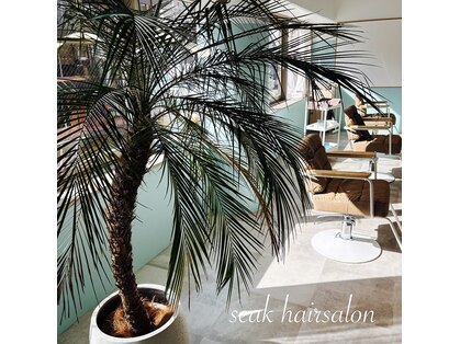 シーク(seak)の写真