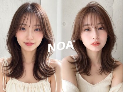 ノア(NOA)の写真