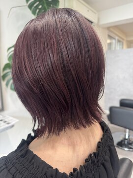 ガーベラ(gerbera) バーガンディーカラー