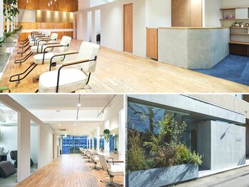 ブランチヘアー(branch hair)の写真/ヘルシーをコンセプトに,美容と健康をデザインする《branch hair》髪と心に優しいサロンタイムを楽しんで♪