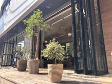 ローグ(Logue)の雰囲気（木を基調とした店内で、温かみと落ち着きのある空間【藤沢駅】）