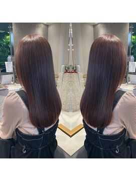 ポラリス(Polaris) マロンブラウン　艶カラー