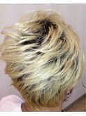 ショートダブルカラー