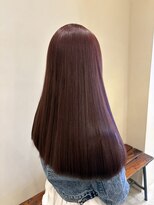 エルミタージュ(HERMITAGE) ワインレッドカラー