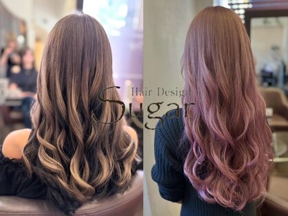 シュガー(Sugar)の写真