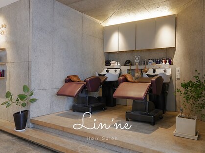 リンネ(Lin'ne)の写真