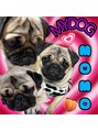 ドール(Doll) 愛犬モモ☆パグを飼ってます!#髪質改善#ダブルカラー#エクステ