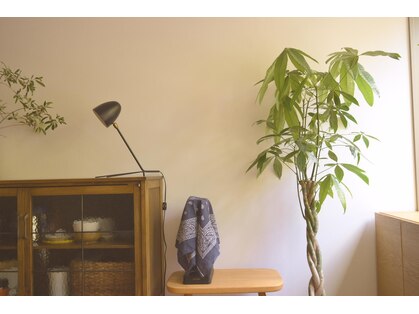 ステム(stem)の写真