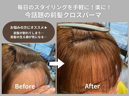 ブルーキャンバス(Blue Canvas)の写真