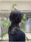 ハイレイヤーウルフ
