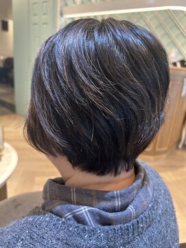 アンフィ 矢向(Anphi) 1-1 ショート